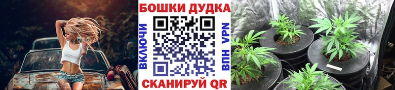 как найти   Уварово  Конопля THC 21% 